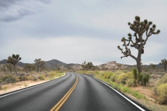 Joshua Tree National Park