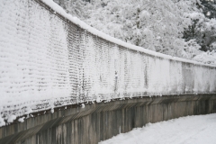 The Cleveland Dam at the Capilano River Regional Park in British Columbia, Canada