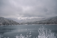 The Cleveland Dam at the Capilano River Regional Park in British Columbia, Canada