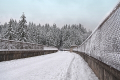 The Cleveland Dam at the Capilano River Regional Park in British Columbia, Canada
